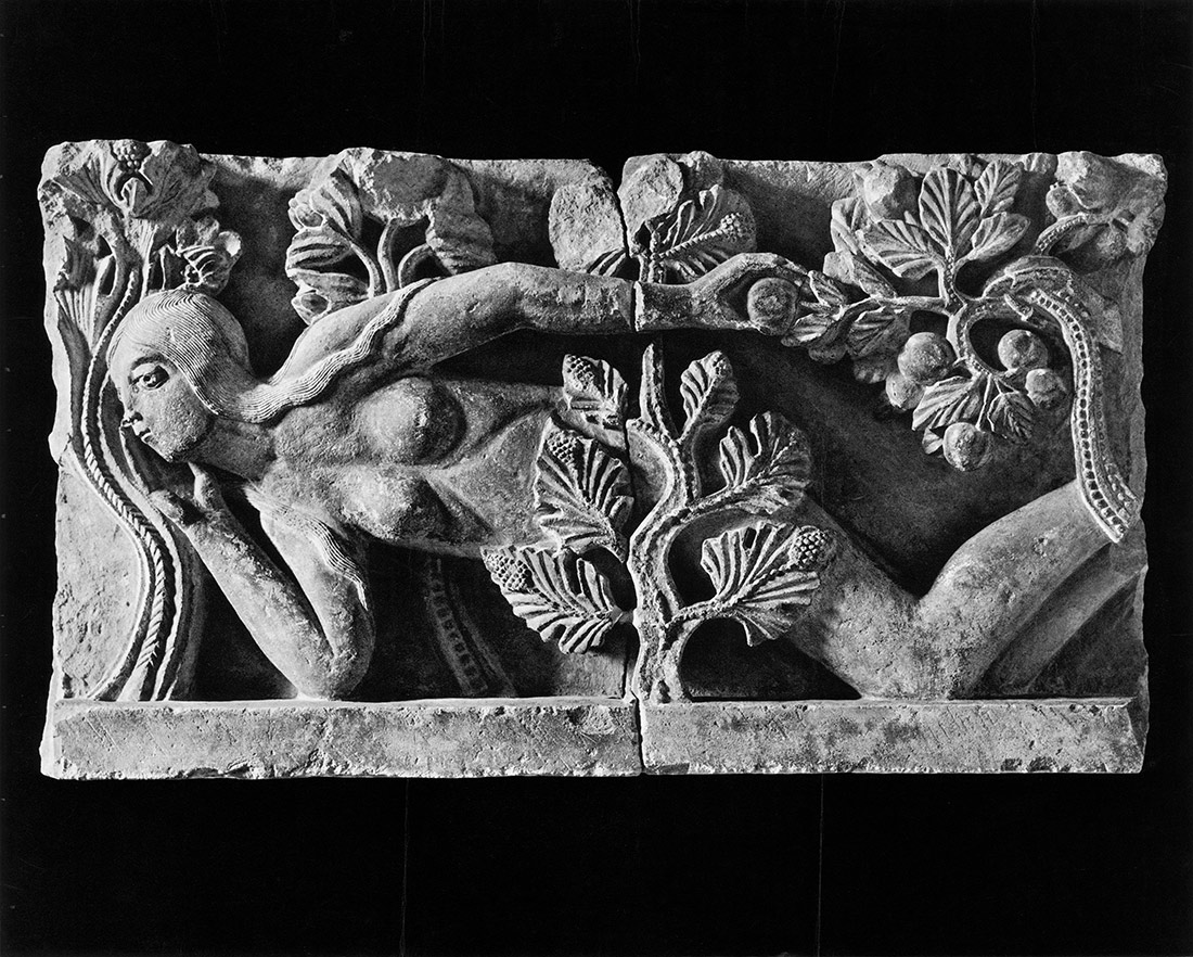 Black and white photograph of frieze by Gislebertus, fallen from the North Portal of the 12th century Cathedral of Saint Lazaras at Autun, France. She is reclining, intertwined with foliage. Unusual in that the sculptor is known (while most church sculptors are anonymous).