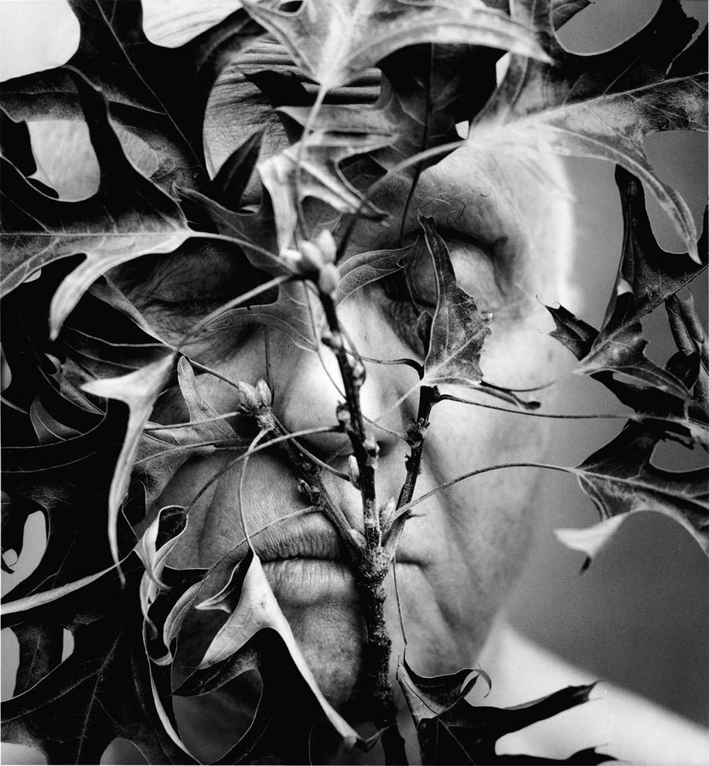 Black and white close-up of oak leaves pressed against a man's face, his eyes and mouth closed, the merging of leaves and Green Man.