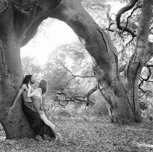 Black and white image of two Tango dancers, leaning against elephantine tree trunks.