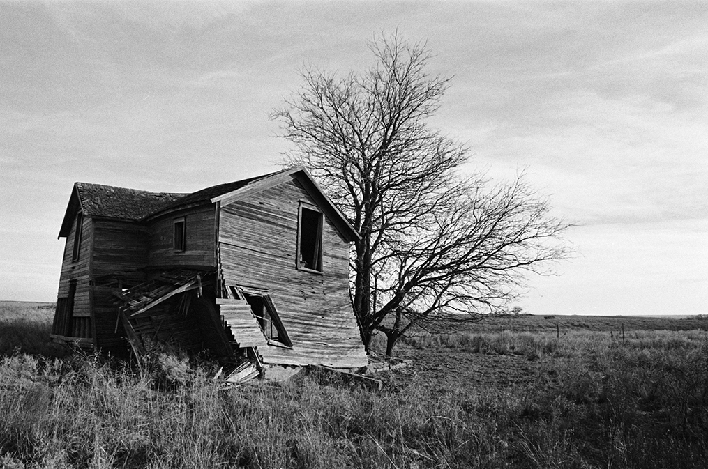 On the flat prairie, an abandoned wood structure slumps beside a bare tree, its vertical walls now resting at a diagonal.