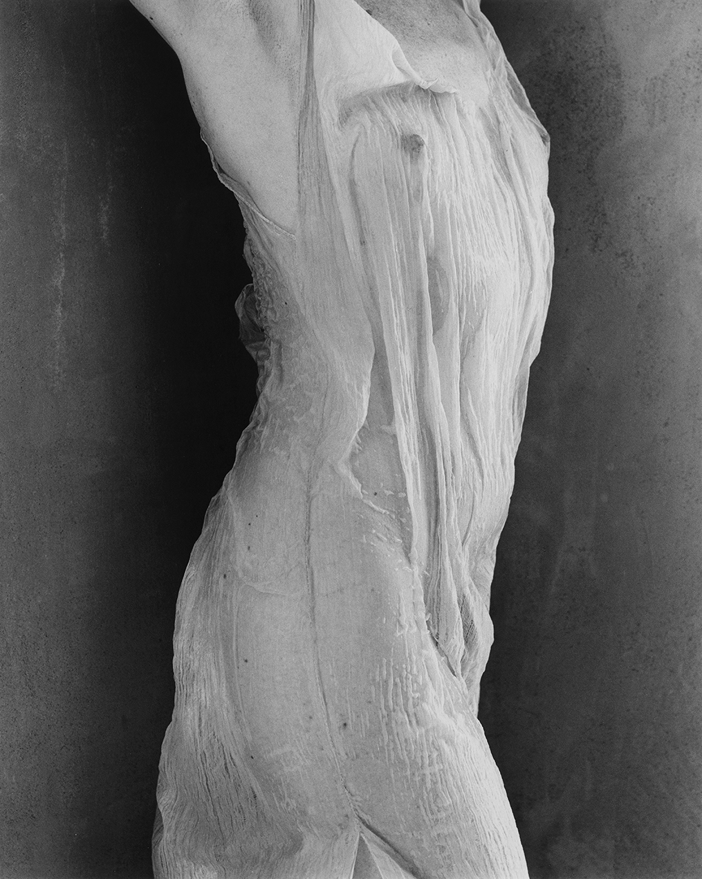 Black and white photograph of a woman wrapped in a gauzy fabric, striding in a slight twist, with arms uplifted out of view, creating a treelike shape.