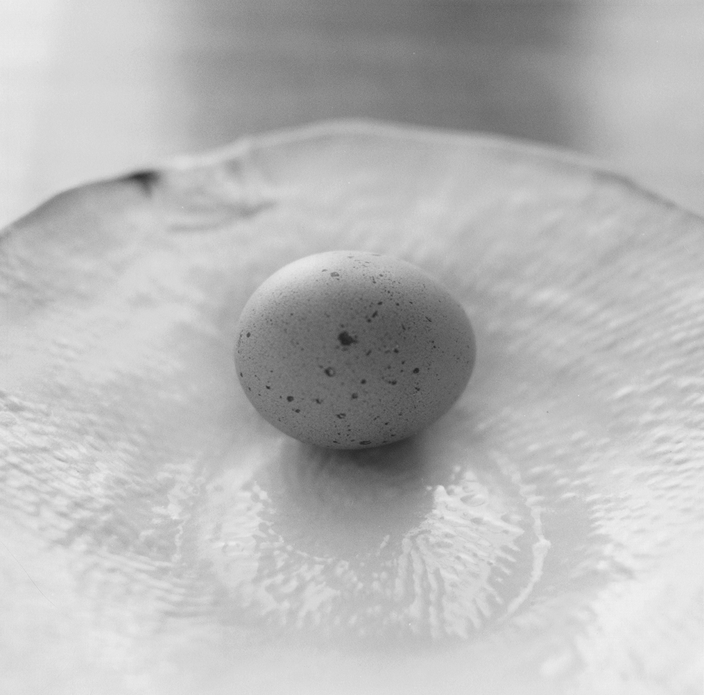 Black and white photograph of a speckled egg on a white plate with wavy shapes in the glass or porcelain.
