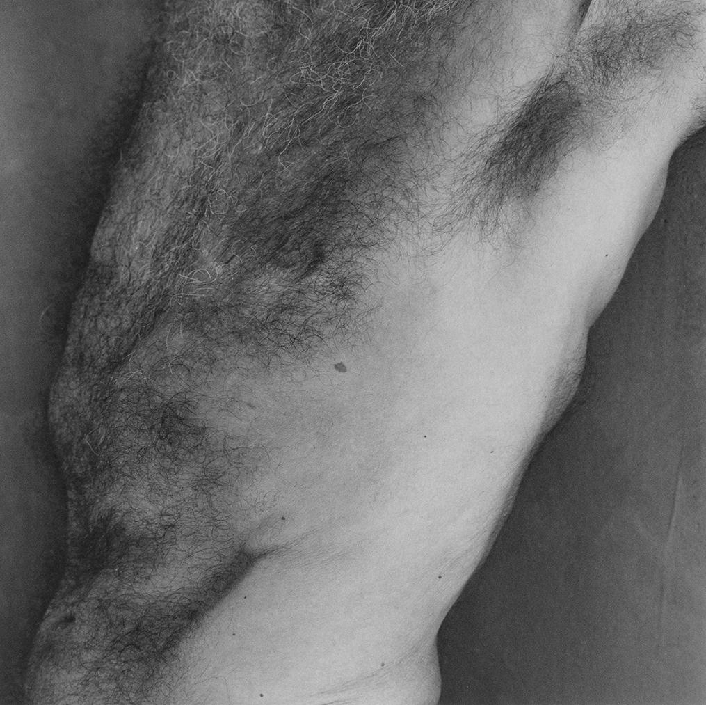 Black and white photograph of a treelike male torso showing abdomen, chest, armpit and back with abundant black and silver hair.